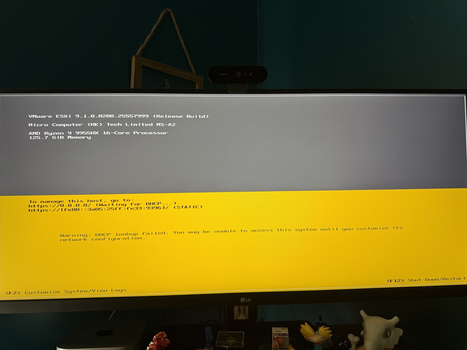 VMware ESXi 9.1 DCUI showing the MS-A2, Ryzen 9 9955HX processor, and 125.7 GiB of memory