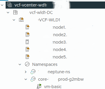 VM created in vCenter from the VCF Automation workflow.